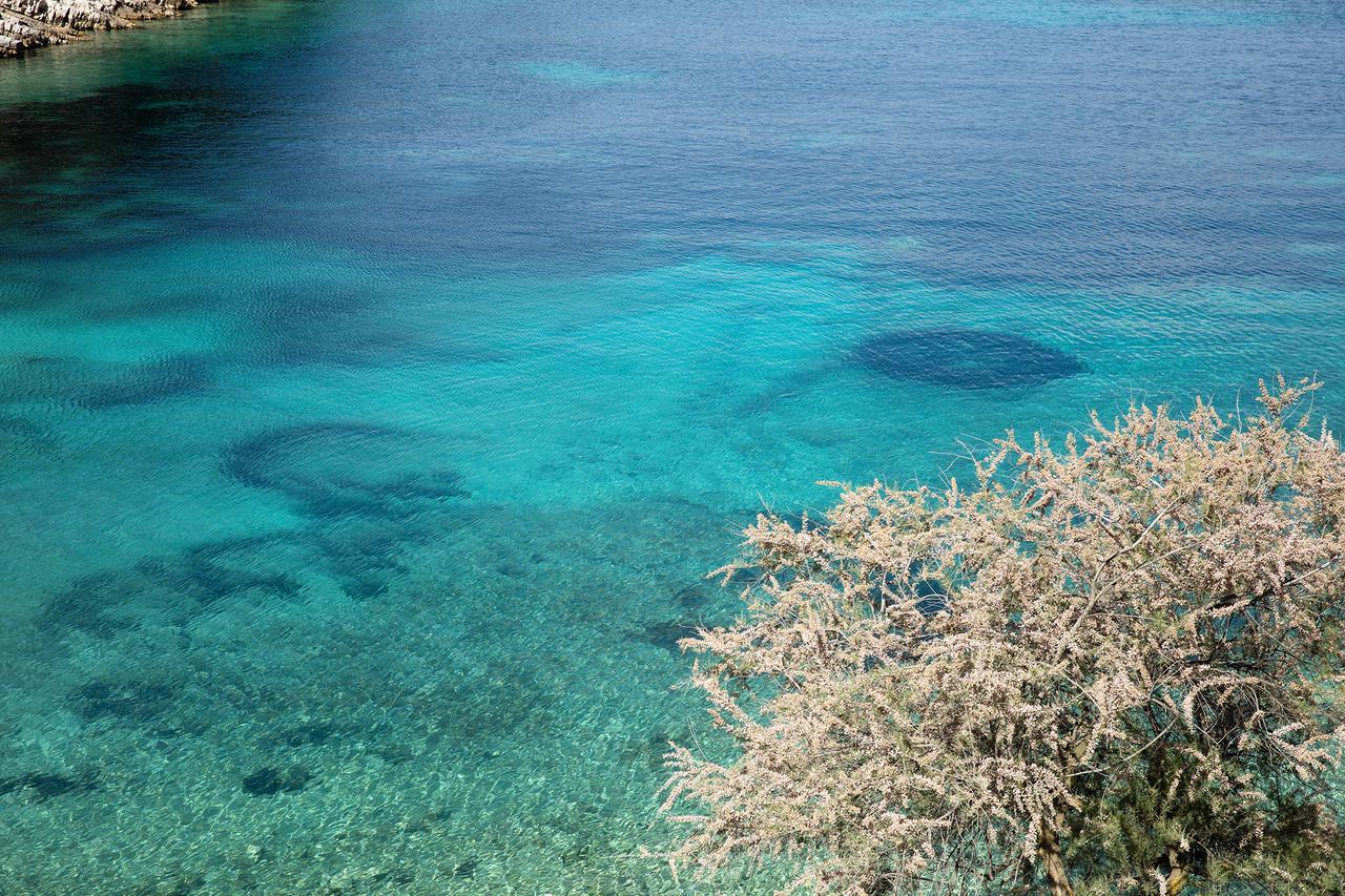 Little Green Bay Hotell Hvar Island Exteriör bild